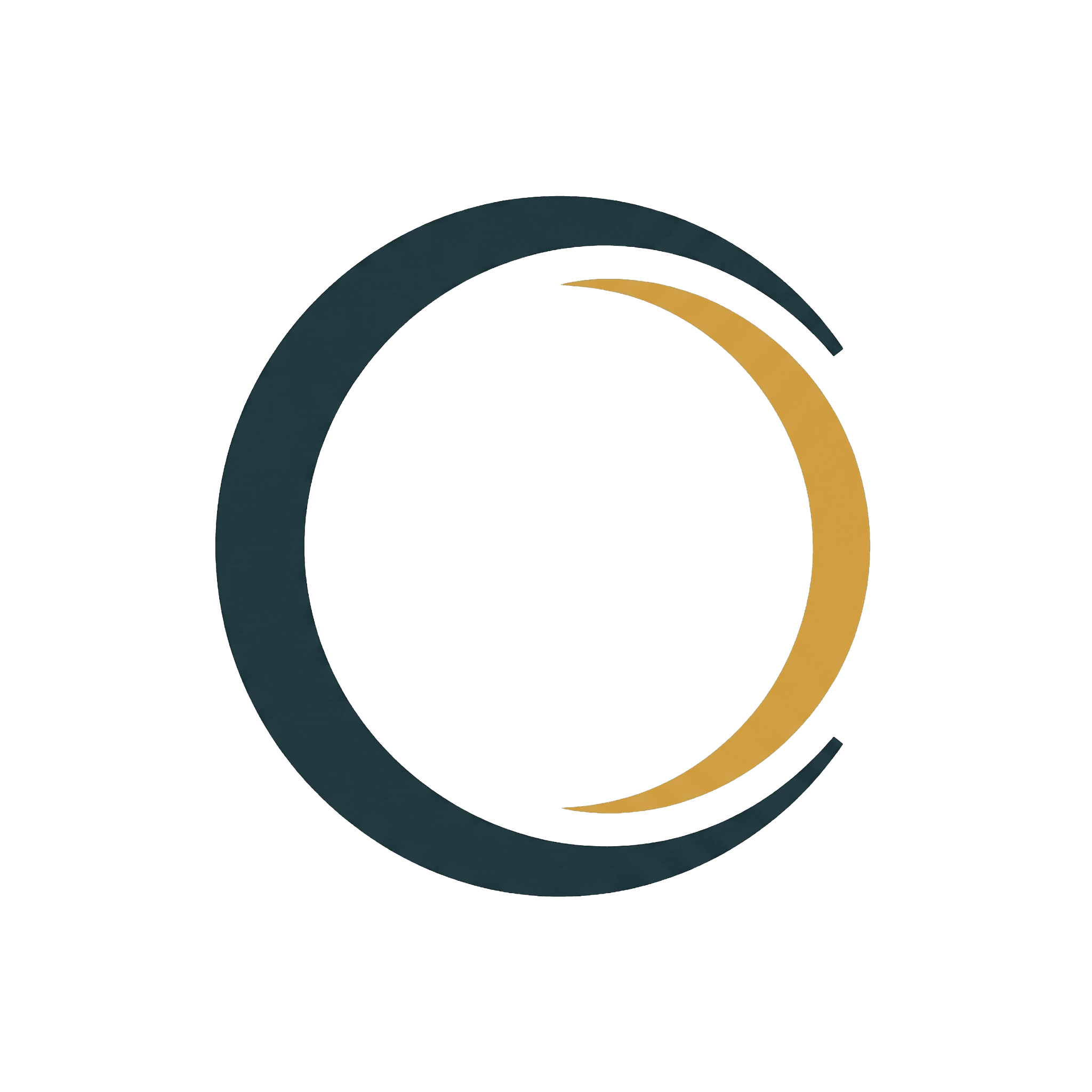 Cleanogo Logo