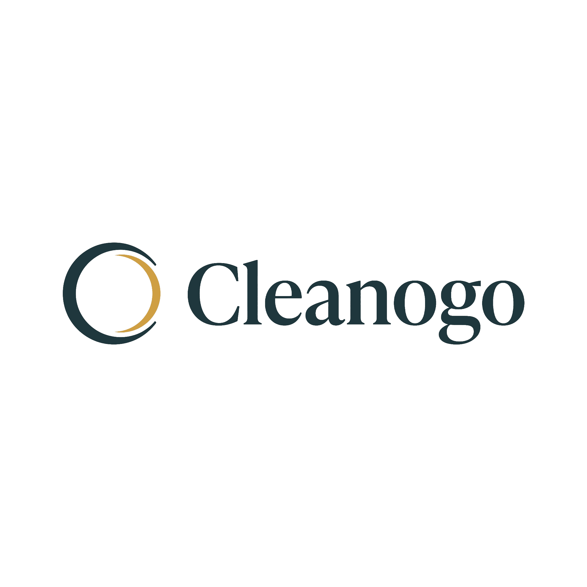 Cleanogo Logo